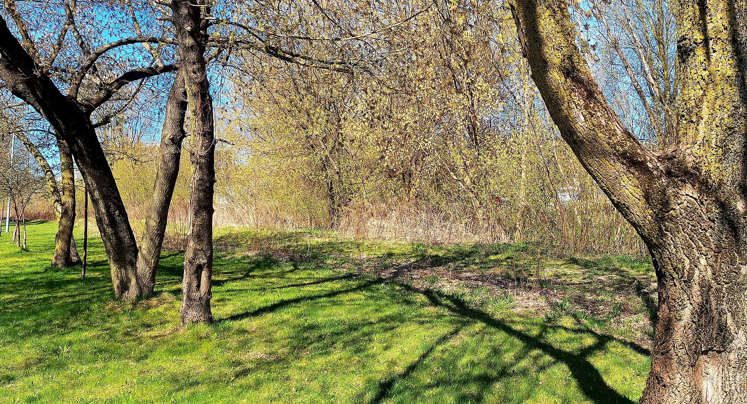 Turpinām tradīcijas – Bill.me komanda arī šogad piedalīsies Lielajā talkā